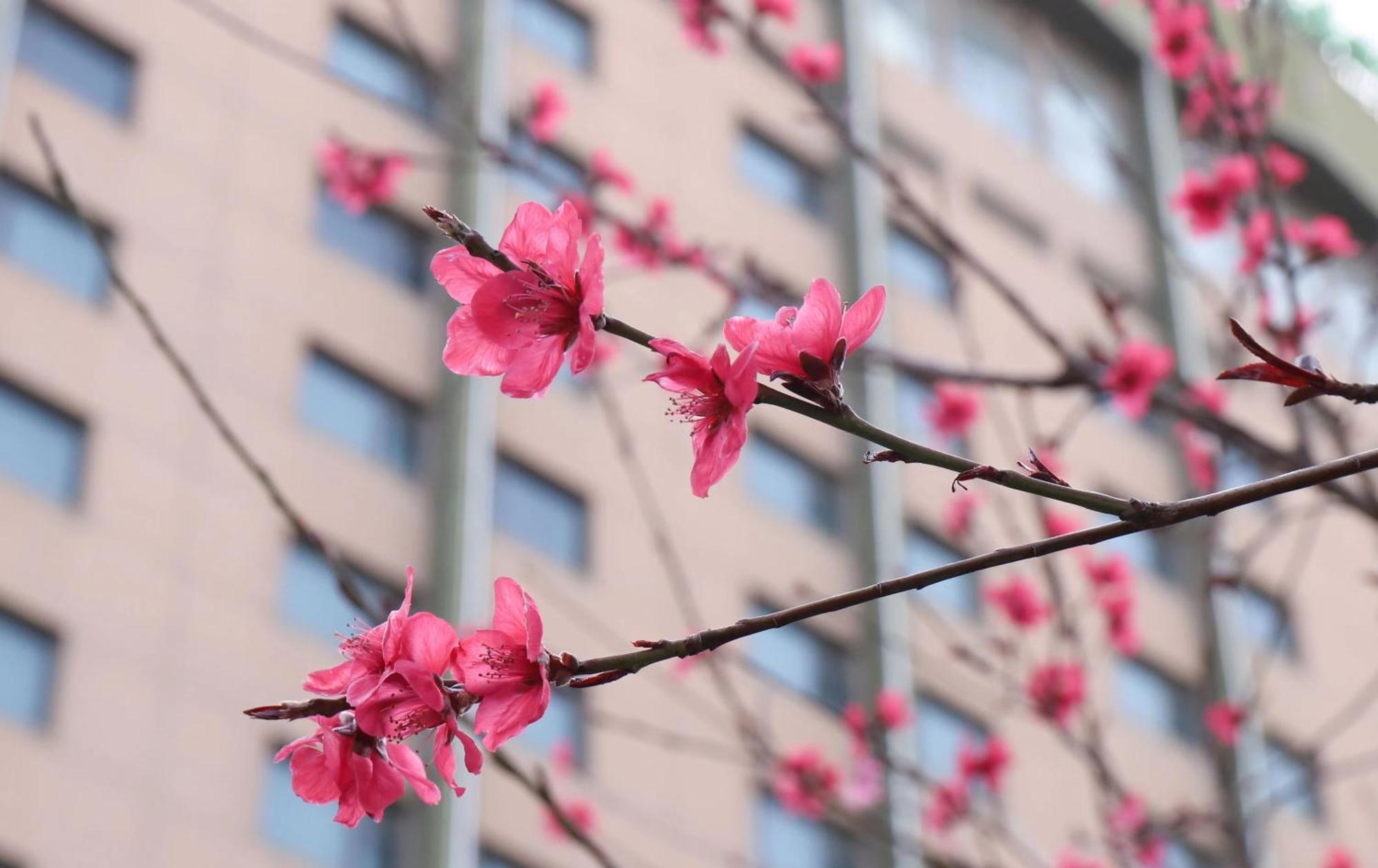 Holiday Inn Express Zhengzhou Zhongzhou By Ihg Exterior photo